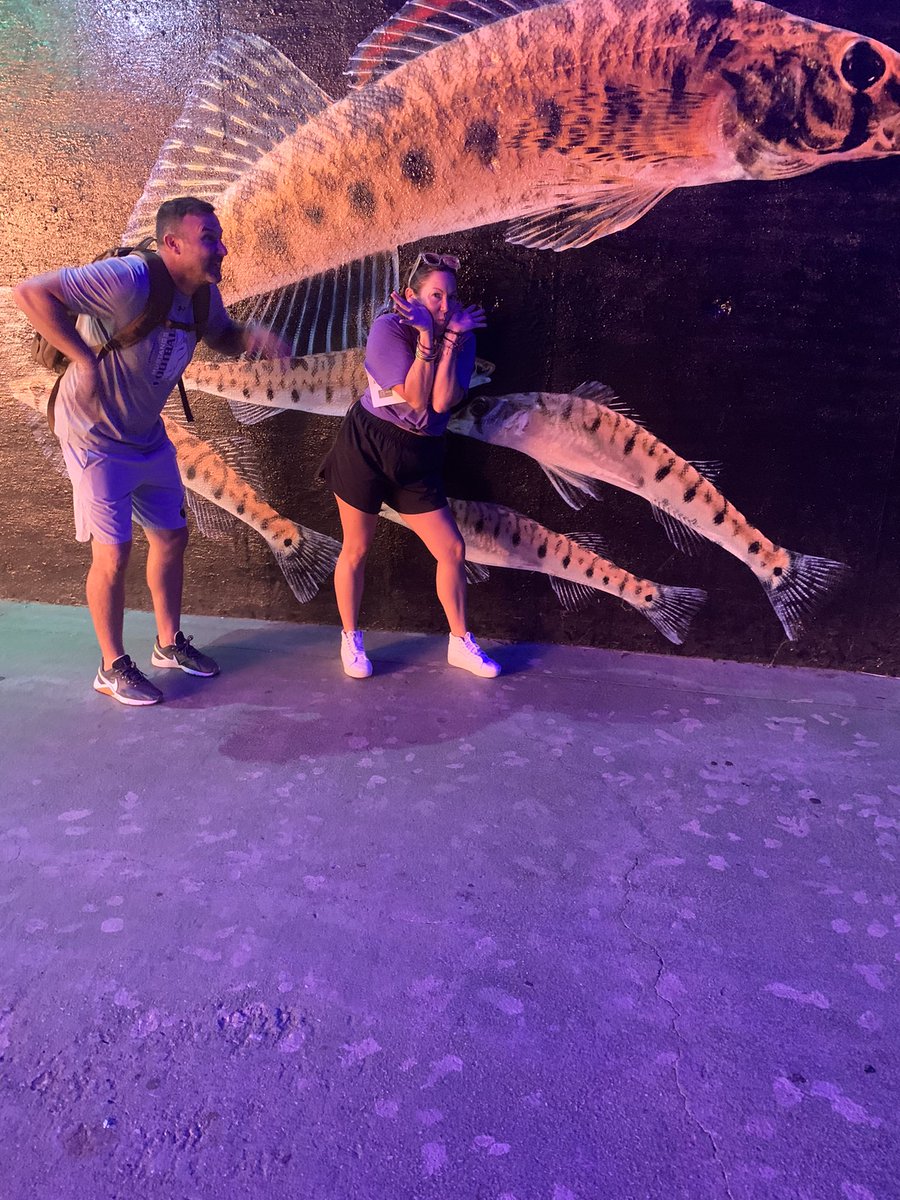 KatyPope26's tweet photo. First day back! #cainzoocrew https://t.co/JcMwyWlLmA