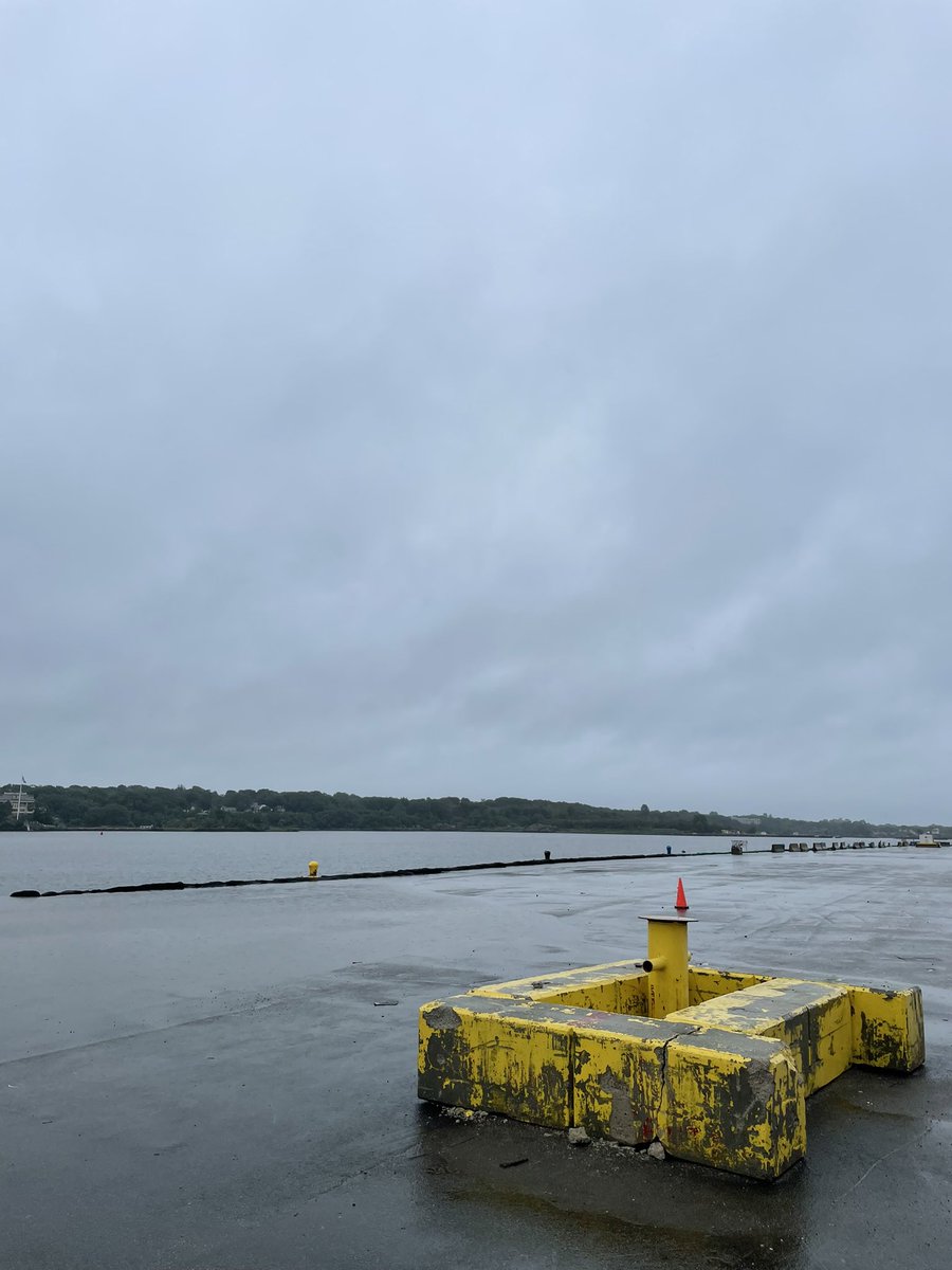 Mike Matthews tweet media