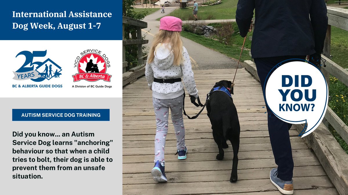 bcguidedogs's tweet photo. Did you know... an #AutismServiceDog learns "anchoring" behaviour so that when a child tries to bolt, their dog is able to prevent them from an unsafe situation.
#AutismServiceDogs increase the safety & security of a child with autism
#InternationalAssistanceDogWeek
#IADW2021 https://t.co/qW3hKzlUcF