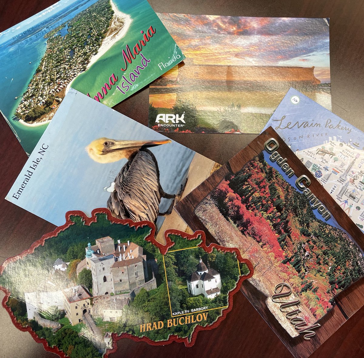 wresWildcats's tweet photo. Our Wildcats sure are having fun this summer! π€ Please send us a postcard or letter telling us about your adventures! 5401 Timberbluff Pkwy Midlothian, VA 23122 #WESsummerFUN https://t.co/SrhPtUlo0B