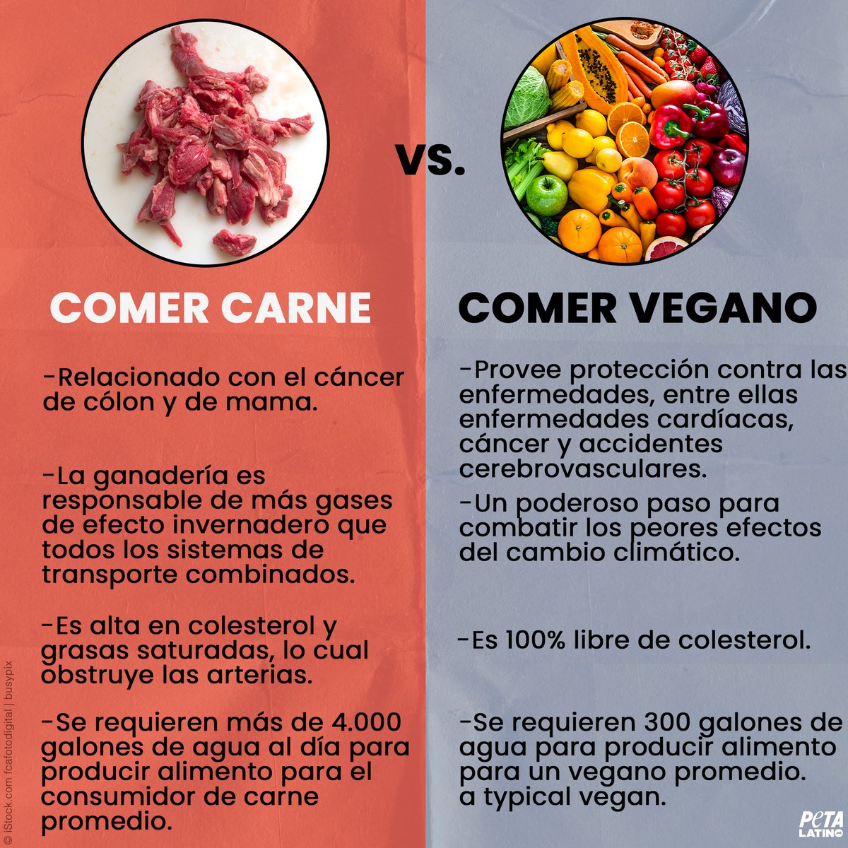 PETA Latino tweet media