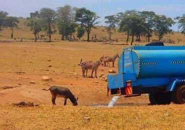 Everyday this man drives hours in drought to provide Water to thirsty Wild Animals in Kenya for free

Massive Respect ❤👏👏