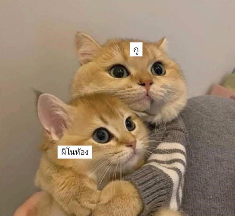 𝐝𝐞𝐟𝐢𝐧𝐢𝐭𝐞𝐝𝐨𝐢𝐧𝐤 tweet media