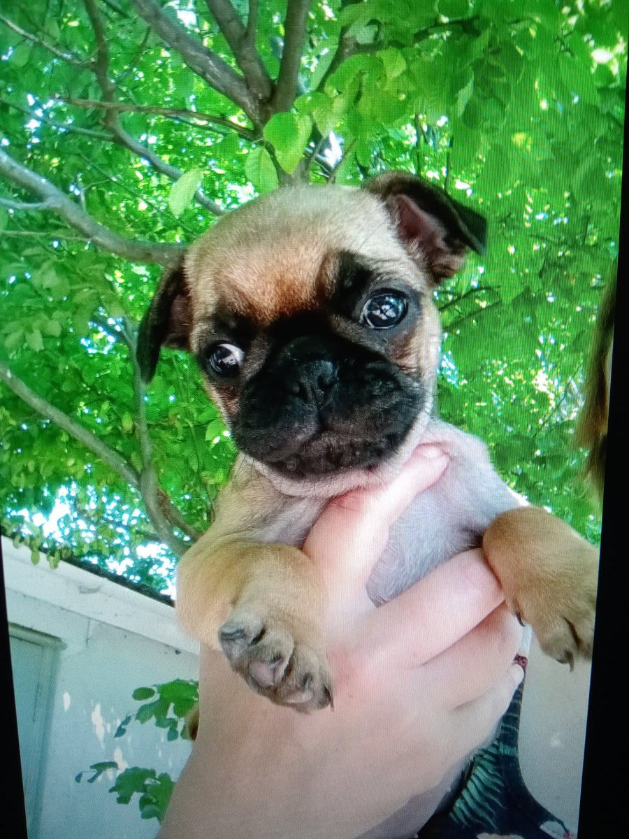 sallyChatteris's tweet photo. Little frug girl available https://t.co/taTii5VH19