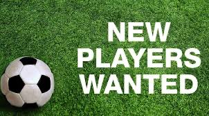 SBJFC1's tweet image. We are currently looking for new players in the following age groups.  

U9
U10
U13/14
U17/U18

If you are looking for your next move,  contact us at contact@stevenageborojfc.co.uk