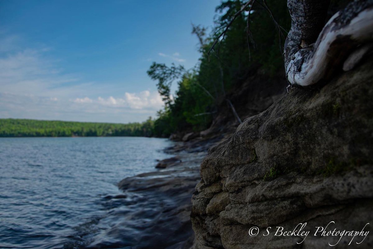 S_Beckley_Photo's tweet photo. Abstract coastal views from Grand Island, Michigan.
Nikon D5300
#abstract #island #beach #rocks #lake #lakesuperior #forest #trees #coast #coastline #abstractview #focus #nikon #abstractphotography #nikonphotography #michigan #upperpeninsula #perspective #grandisland #hiking https://t.co/98CEzo29II
