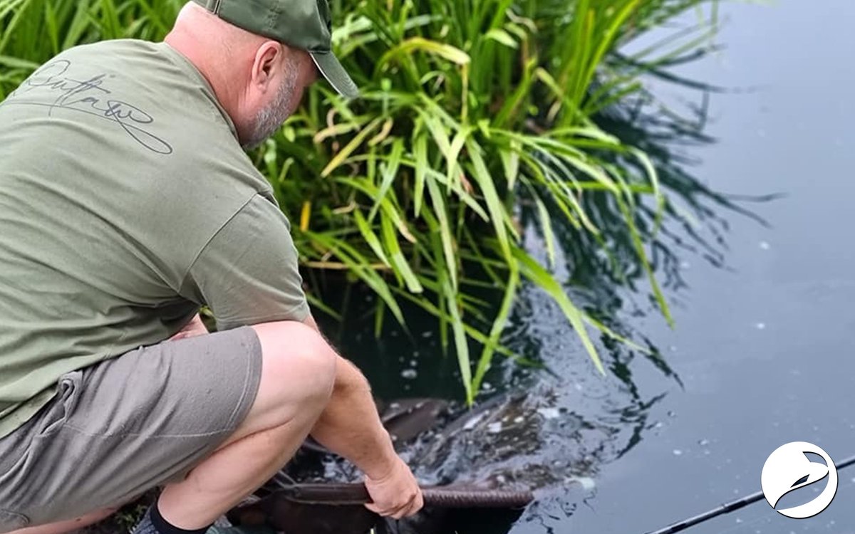 👀 Triple trouble 

👌 Team member Craig Randal spent a couple of nights on his syndicate landing 3️⃣ fish - the biggest going up to 28lb.

🍌 Banoffee Pop-Ups and Wafters over 5kg of freebies using the German rig were the Carps' downfall

Tight lines and safe returns

Outlaw Pro