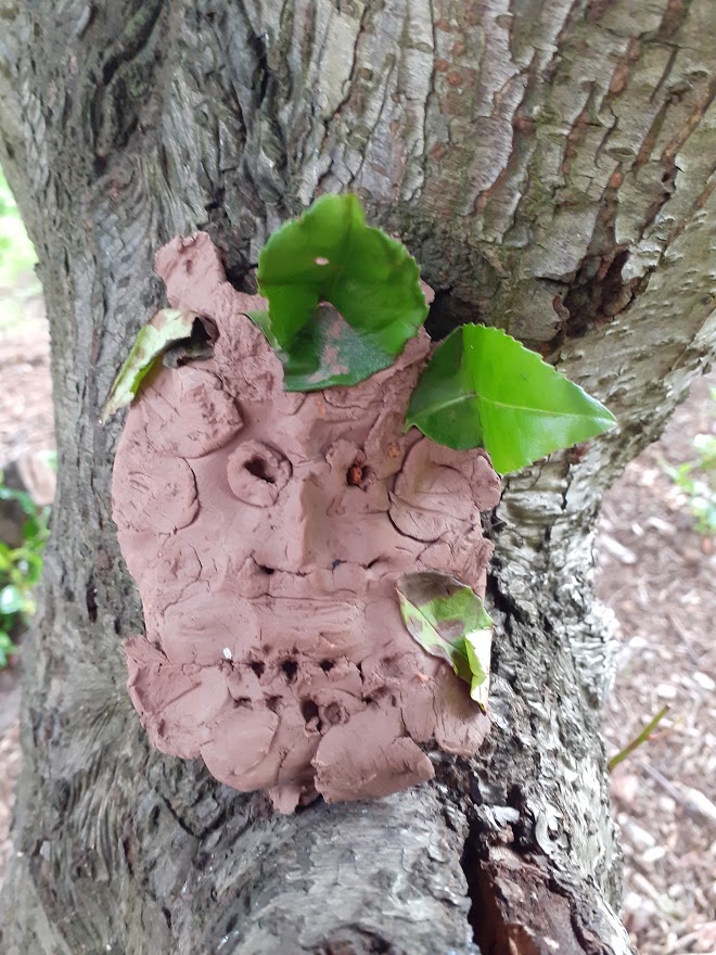 They've survived a week in the trees...