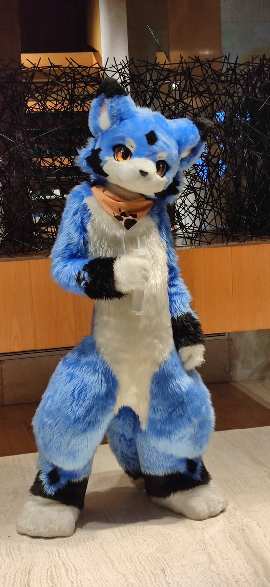 #FursuitFriday
抱w