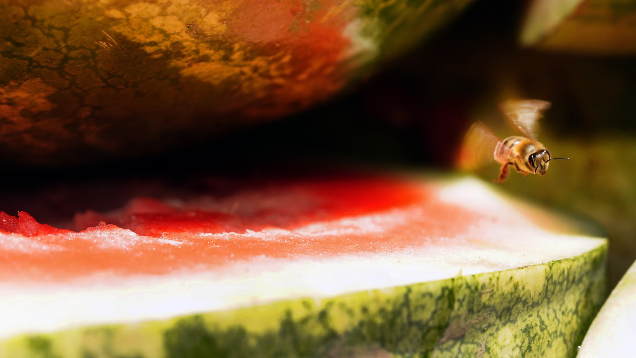 Kaplan Lab on Twitter "I am recruiting 34 students (MS or PhD