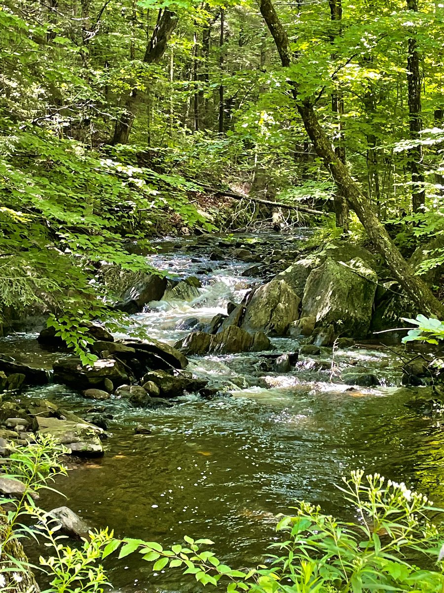 Back from our inn to inn walking tour in Vermont. What a beautiful state! 4 inns, 40 miles in 4 days. Feet are a little sore but better for the experience! #visitvermont #vermont #middleagedinfluencer #hiking #coupleswhohike