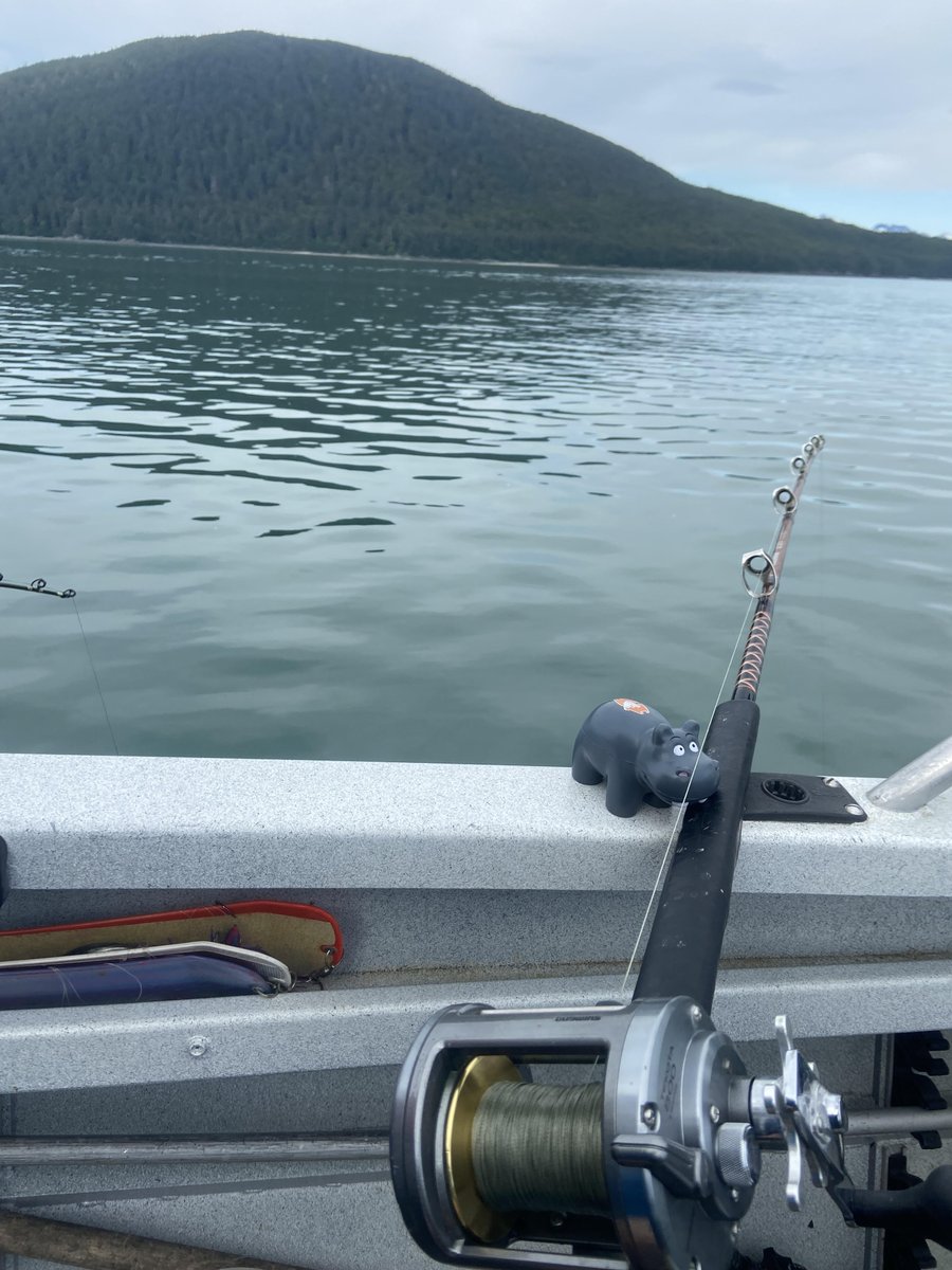 Fishing in Juneau, Alaska!
Awe...the Hippo Life!
#HippoNation