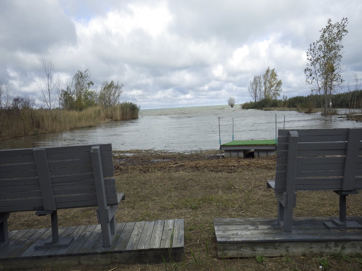 ToxicFreeMW's tweet image. The “cutting-to-drown” method made a difference for the @LambtonCentre summer camp in Lambton Shores, Ontario by opening the camp’s beach. “For years, the lake wasn’t accessible to campers due to #Phragmites,” said Dr. Gilbert. More at bit.ly/GilbertCutToDr….