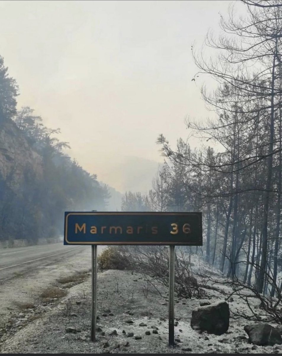 Akyaka, Akbük ve Gököva’da bu görüntüyü görmemek için halen az da olsa zamanımız var . 
Sesimizi duyurun lütfen 🙏🏼 ve devlet şimdiden önlem alsın ❗️
#AkyakaYanmasın
#GökovaYanmasın
#akbükyanmasın