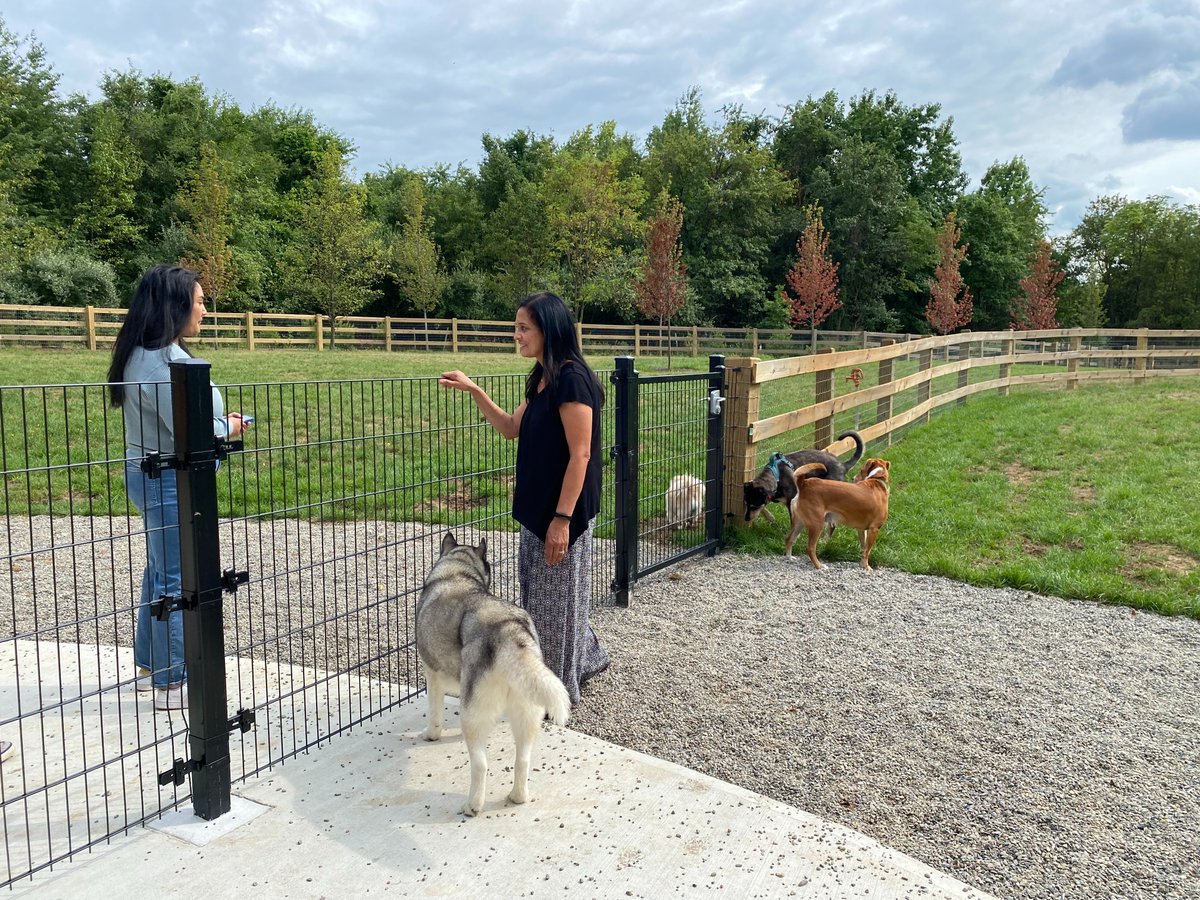Mayor Angulo &amp; Township Council are pleased to announce the Cherry Hill Dog Park at Croft Farm is now open! Councilwoman Sangeeta Doshi had a chance to stop by yesterday w/ her husky Nala and talk with residents out enjoying the park. More info: bit.ly/3yvDxQr