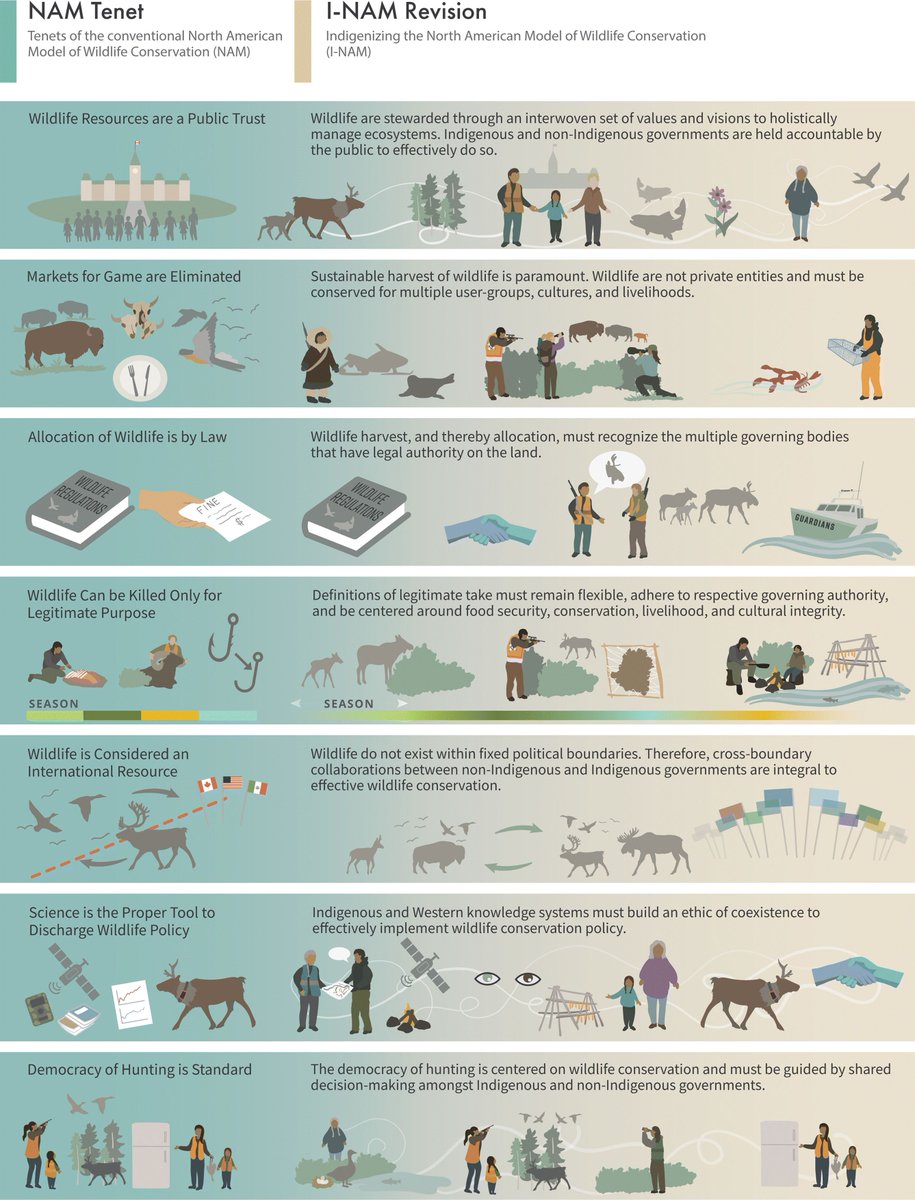 FACETSJournal's tweet photo. NEW | A pathway forward to update the North American Model of Wildlife Conservation to better support and coexist with Indigenous-led conservation. Learn more in a new #openaccess paper by @mateens22 @ella_bowles_82 @JessPopp @adamTford ➡️ https://t.co/nMFzPt9G1V https://t.co/Npu7wSQXUI