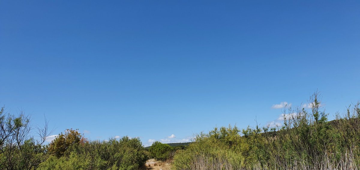 DAngelvy's tweet photo. #cielfi #cielfiducoin Lac des aiguilles, Minervois, 12h, du bleu comme promis @Armelle_Le_Gall https://t.co/s1WD8pulcR