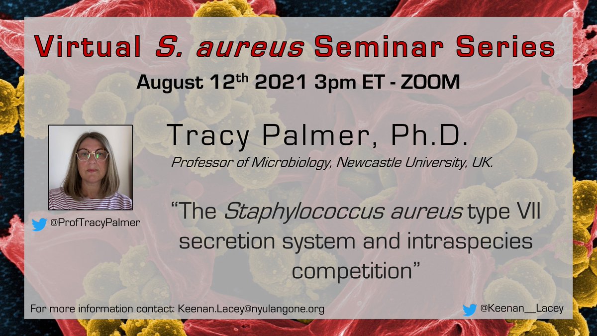 Keenan Lacey (@keenan__lacey) on Twitter photo Next up in the Virtual S. aureus Seminar Series is
<a href="/proftracypalmer/">Tracy Palmer</a> from <a href="/StudentsNCL/">Newcastle University</a>.
Tune in on Thursday August 12th at 3pm EST.
Click the link to join the mailing list: bit.ly/34kxCiZ Next up in the Virtual S. aureus Seminar Series is
<a href="/proftracypalmer/">Tracy Palmer</a> from <a href="/StudentsNCL/">Newcastle University</a>.
Tune in on Thursday August 12th at 3pm EST.
Click the link to join the mailing list: bit.ly/34kxCiZ