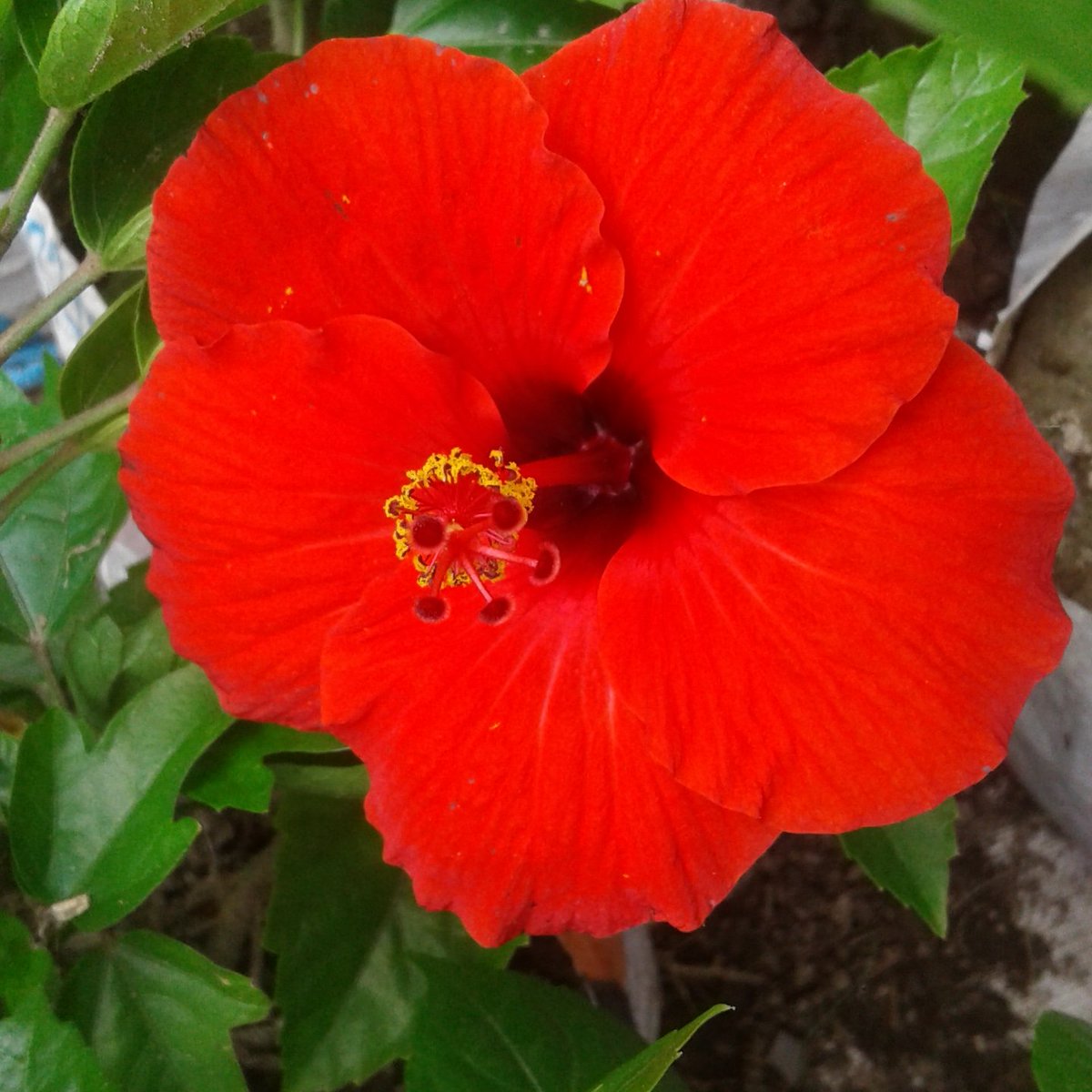 #mobilephotography