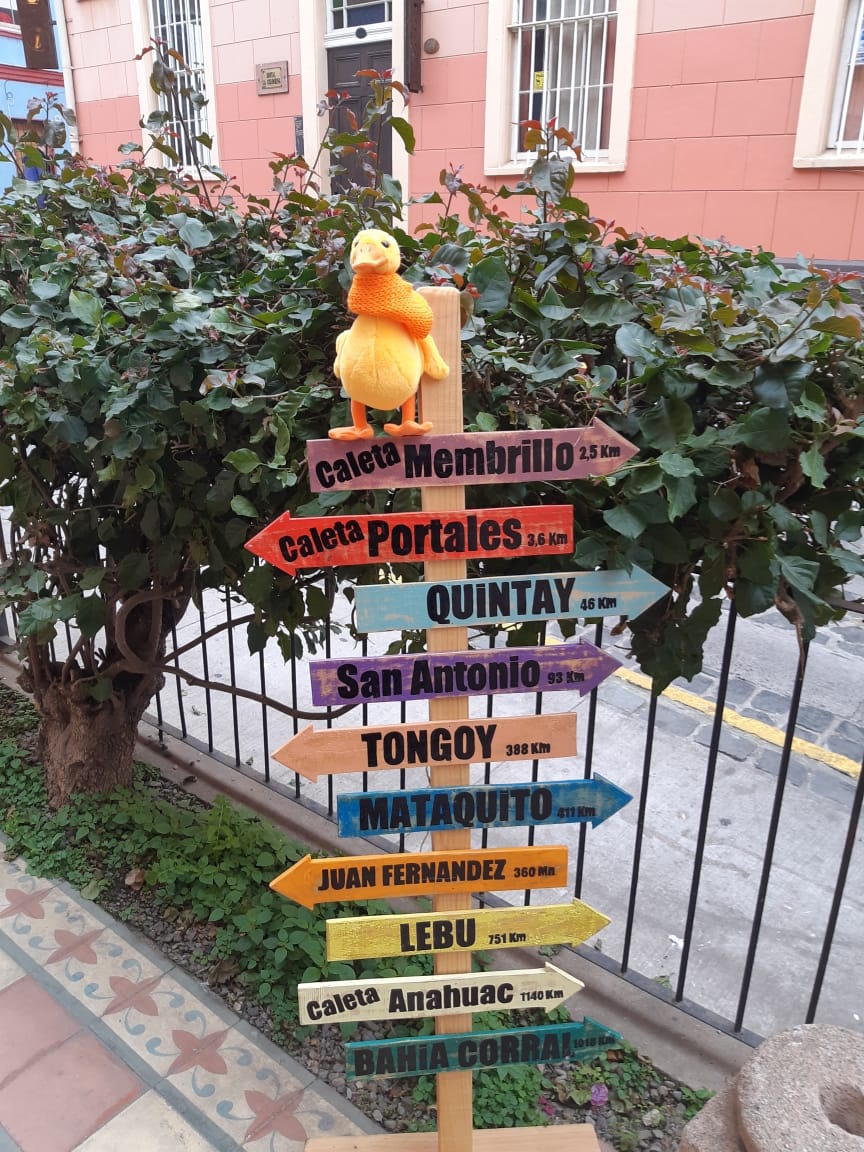 Pato BancoEstado tweet media