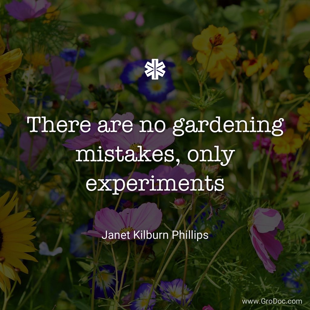 Gro_Doc's tweet photo. Drop a 💚 or comment if you agree!⁣
⁣
Happy growing! 👩‍🌾👨‍🌾⁣
⁣
#vegetablegarden #gardening #growyourown #garden #growyourownfood #homegrown #growyourveggies https://t.co/RPQbFmvTYD