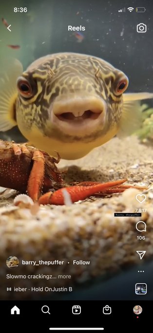 Look at this fish https://t.co/Z6l55sV8kG