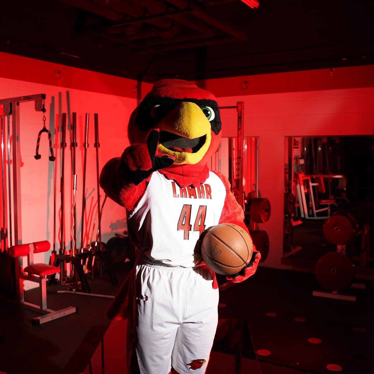 Lamar Cardinals tweet media