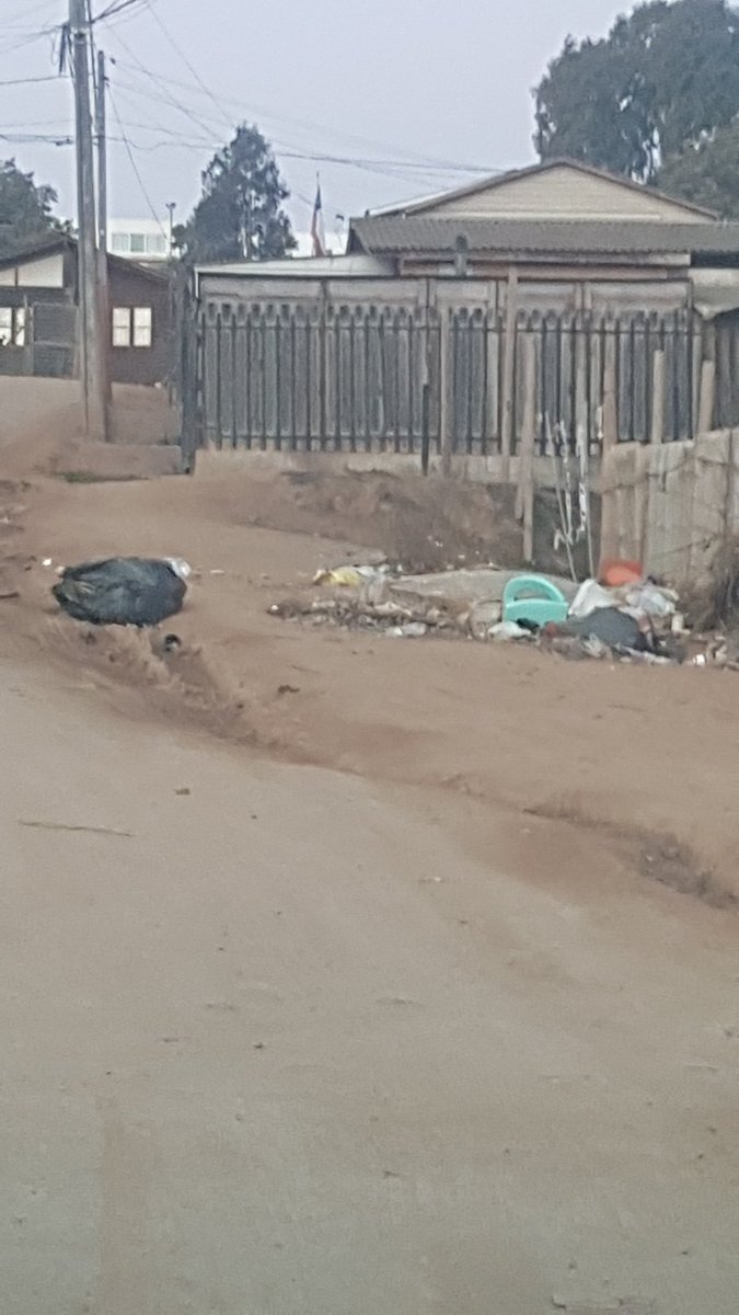 patewrc's tweet photo. @JavieraToledo_V En av la palma  con Aconcagua  es permanente ese basural  los vecinos del pasaje dejan su basura ahí https://t.co/udnibLGYgS