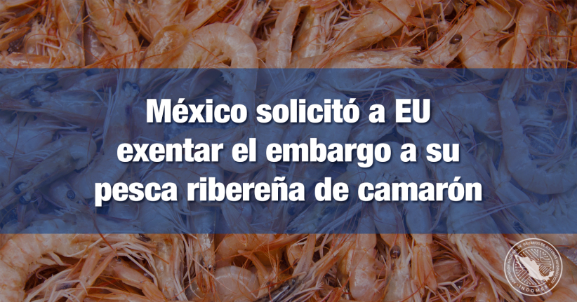 incomexnacional's tweet photo. #INCOMEXInforma
México solicitó a EU exentar el embargo a su pesca ribereña de camarón
Leer más: https://t.co/8B1CtdAEQp https://t.co/KtrhP9ZhID