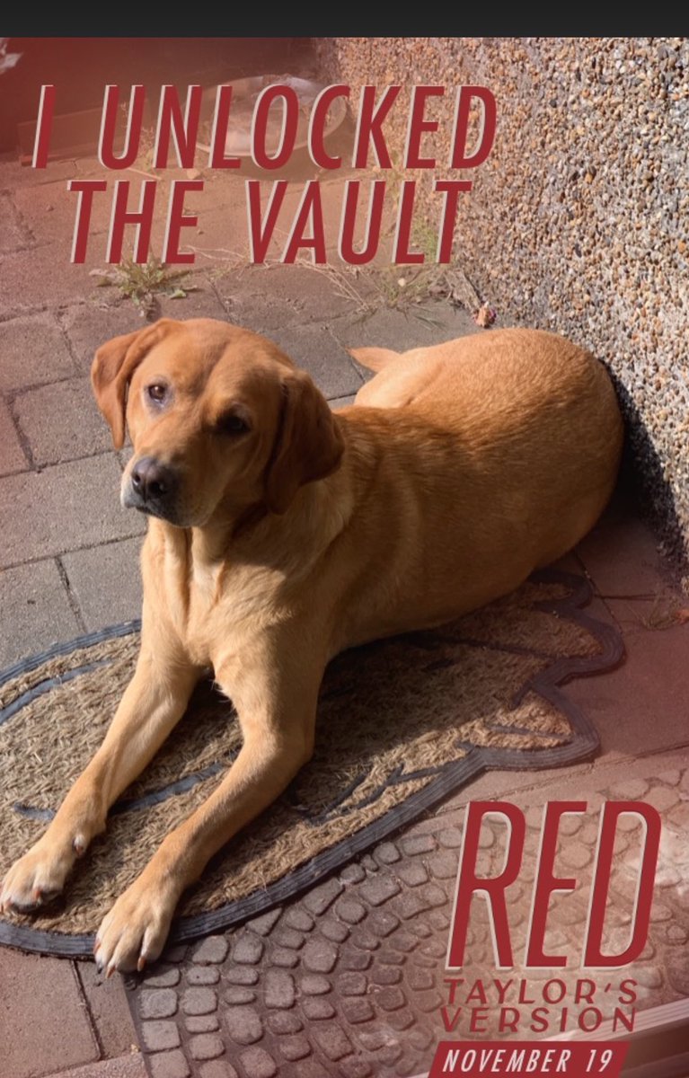 beccarskinner's tweet photo. @taylorswift13 Meredith’s sister Lexie got involved #iunlockedthevault https://t.co/AqX8scuEBC
