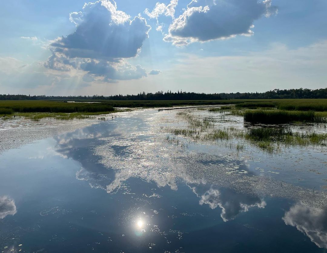 #themarshkingsdaughter has officially wrapped. The release date has not yet been confirmed. 

Source: <a href="/blackbearpics/">BLACK BEAR</a> on Instagram Posts.