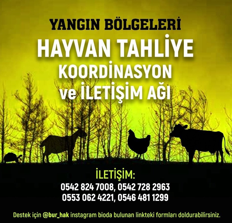 Yangın bölgeleri hayvan tahliye koordinasyon ve iletişim ağı 👇