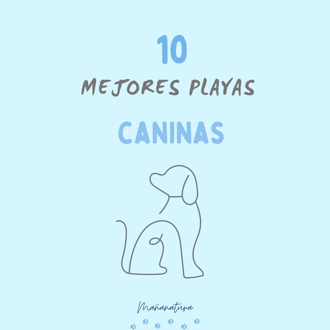 mananatura_shop's tweet photo. 🐾 Hemos realizado una lista de las 10 mejores playas caninas disponibles en España, así podéis elegir la más cercana y poder disfrutar del verano junto con toda la familia 🐶 

Podéis visitar nuestro blog (link en la bio del perfil) para descubrirlas. 

#Mañanatura #Mananatura https://t.co/koJVwYNkvB