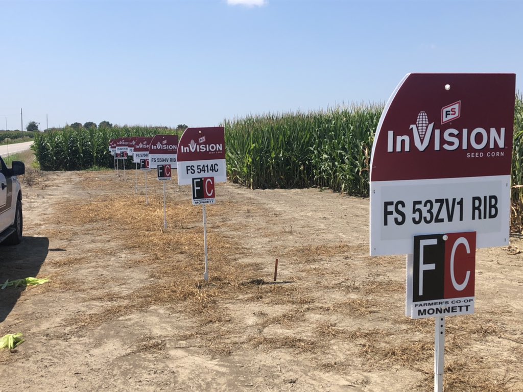 brad_gerten's tweet photo. Out checking some InVision Corn Plots today in Marion, OH. These bin busters look very promising of our tried and true hybrids as well as our New for ‘22 offerings! Keep an eye out for FS 5815V, FS 6017V FS 6107T. @InVISION_HiSOY https://t.co/JAVQzCzQKw