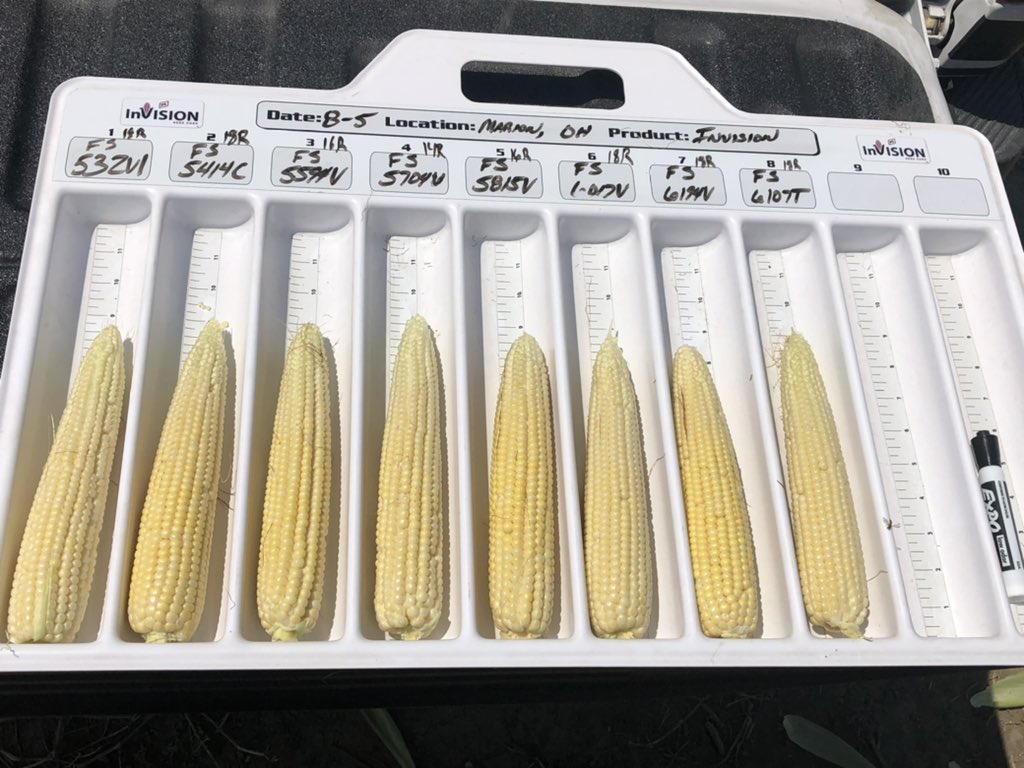 brad_gerten's tweet photo. Out checking some InVision Corn Plots today in Marion, OH. These bin busters look very promising of our tried and true hybrids as well as our New for ‘22 offerings! Keep an eye out for FS 5815V, FS 6017V FS 6107T. @InVISION_HiSOY https://t.co/JAVQzCzQKw