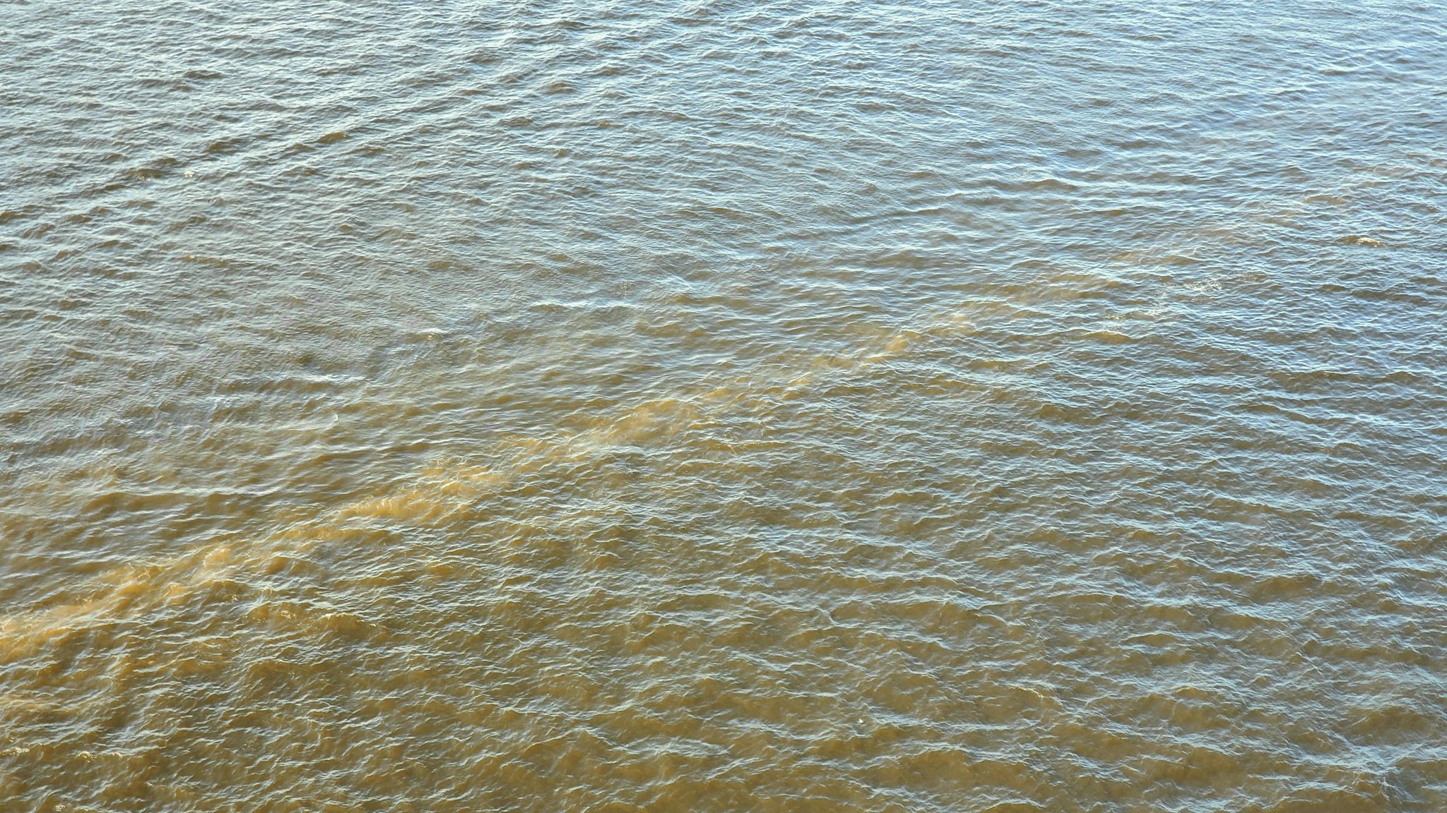 藤崎涼 ドラマー Dr 涼 On Twitter レインボーブリッジの上から見た茶色い海 お台場海浜公園のビーチは普段から遊泳禁止だけど オリンピックでは選手に泳がせるんだなー ずるい いやいや 遊泳可能だとしても俺は絶対泳ぎたくないし 水遊びさえもしたくないな