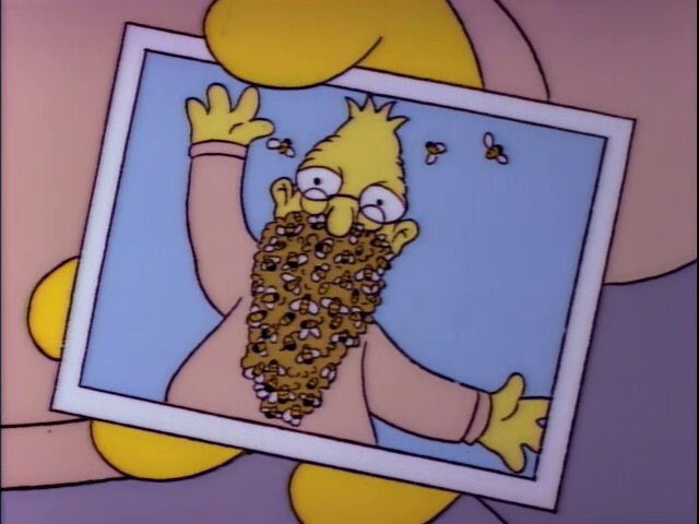 Simpsons Quotes tweet media
