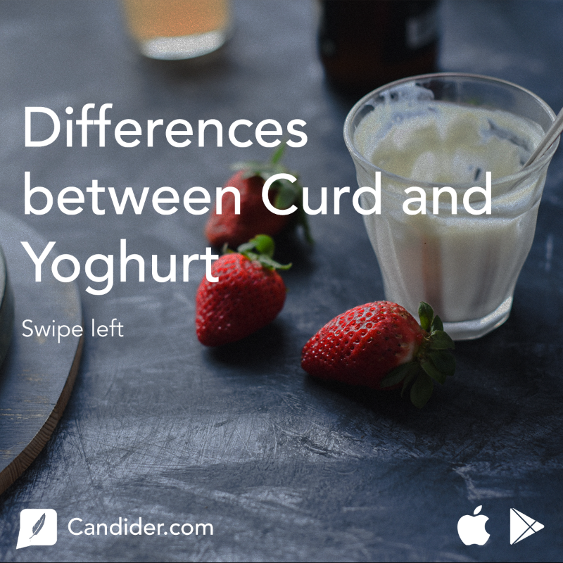 Candider_'s tweet photo. Even though curd and yoghurt seem similar they are actually very different! Swipe left to find out more

Read the full blog here - https://t.co/gX5jTyZePI

#curd #yoghurt #healthyindia #healthiswealth #fitindia #fitnessgoals #fithaitohithai https://t.co/D1VcFZQ5F6