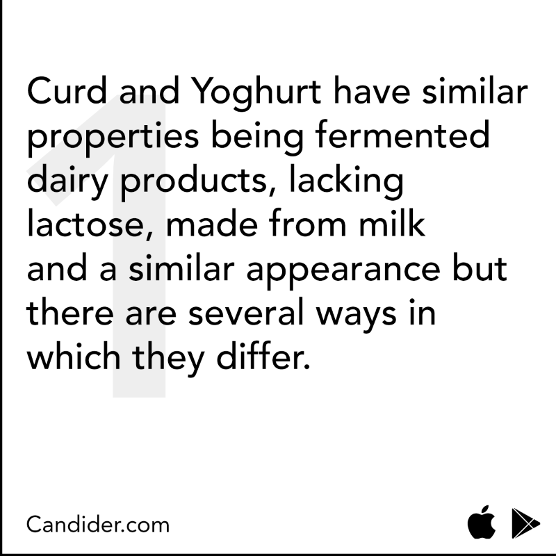 Candider_'s tweet photo. Even though curd and yoghurt seem similar they are actually very different! Swipe left to find out more

Read the full blog here - https://t.co/gX5jTyZePI

#curd #yoghurt #healthyindia #healthiswealth #fitindia #fitnessgoals #fithaitohithai https://t.co/D1VcFZQ5F6