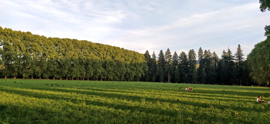 Florian Dintilhac tweet media