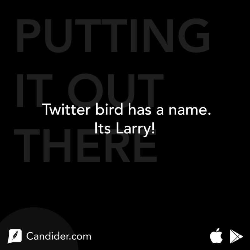 Candider_'s tweet photo. Did you know that iconic blue symbol has a name?

Read more facts like this on Candider App - https://t.co/w2U4Tdjuqi

#twitter #twitterbird #lovelies #tweets #tweet #bird #bluebird #larry #football #soccerlife https://t.co/wykQuHDJg5