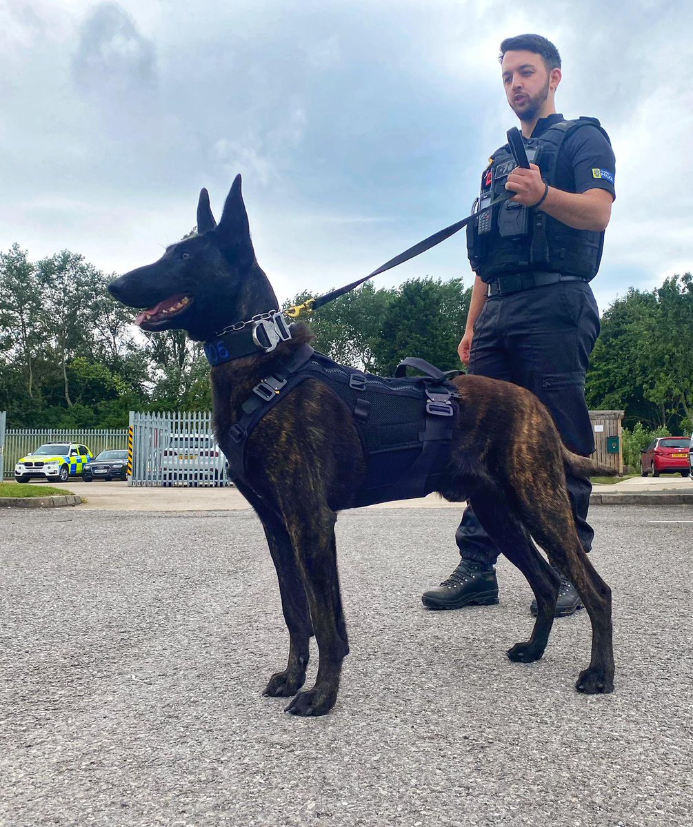 So pleased my @ChNWPoliceDogs have now taken delivery of their own made to measure body armour to keep them safe whilst protecting the public. This has been trialed and developed for over a year so to see the finished article is really impressive and very rewarding. #FinnsLaw