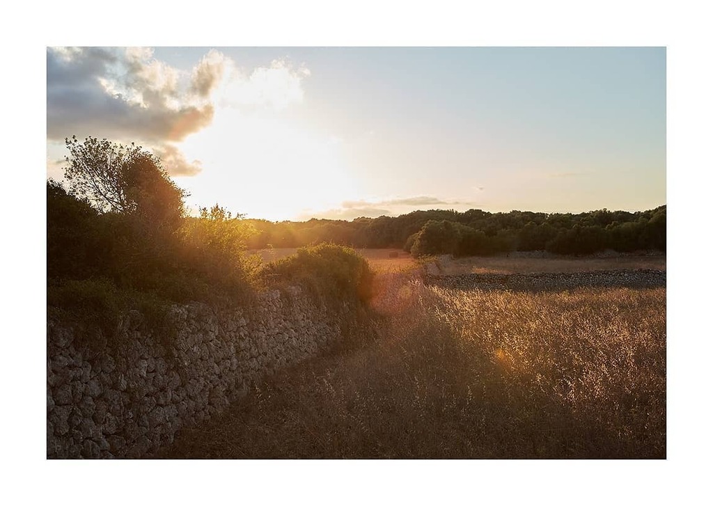 FloroAzqueta's tweet photo. Menorca
#menorca #sumertime #mediterraneanlight #amazinglight #country #mediterraneanlandscape https://t.co/k8m1kepvnx https://t.co/aXFONLOK0T