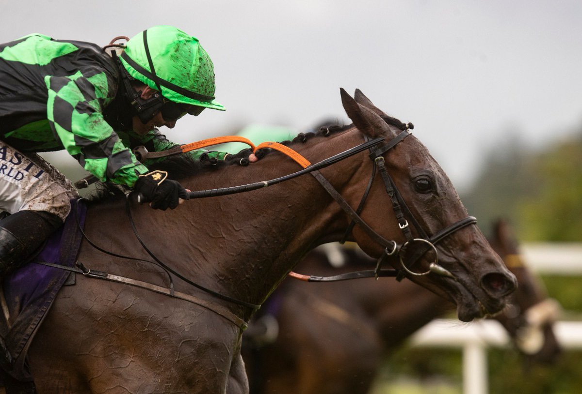 Leopardstown RC (@leopardstownrc) on Twitter photo HARVEST BOW pips Mountain Fox at the post in the <a href="/RyansCleaning/">Ryans Cleaning Waste & Recycling</a> Handicap for <a href="/gavincromwell1/">GavinCromwell Racing</a> and <a href="/garyfcarroll/">Gary Carroll</a> 👏
#LeopardstownRC HARVEST BOW pips Mountain Fox at the post in the <a href="/RyansCleaning/">Ryans Cleaning Waste & Recycling</a> Handicap for <a href="/gavincromwell1/">GavinCromwell Racing</a> and <a href="/garyfcarroll/">Gary Carroll</a> 👏
#LeopardstownRC