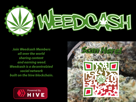 Cannabisius1's tweet photo. https://t.co/zFXtycBfO2