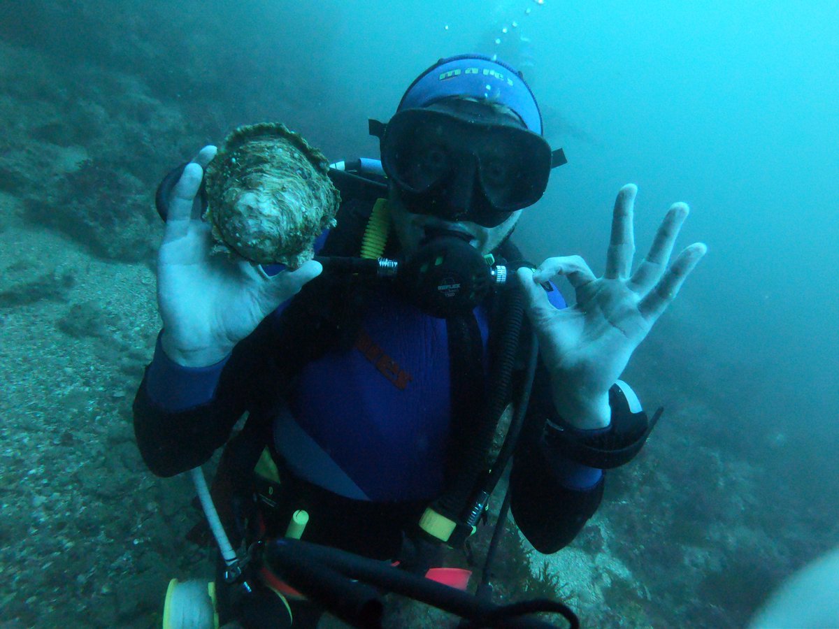 Dr Luke Helmer tweet media