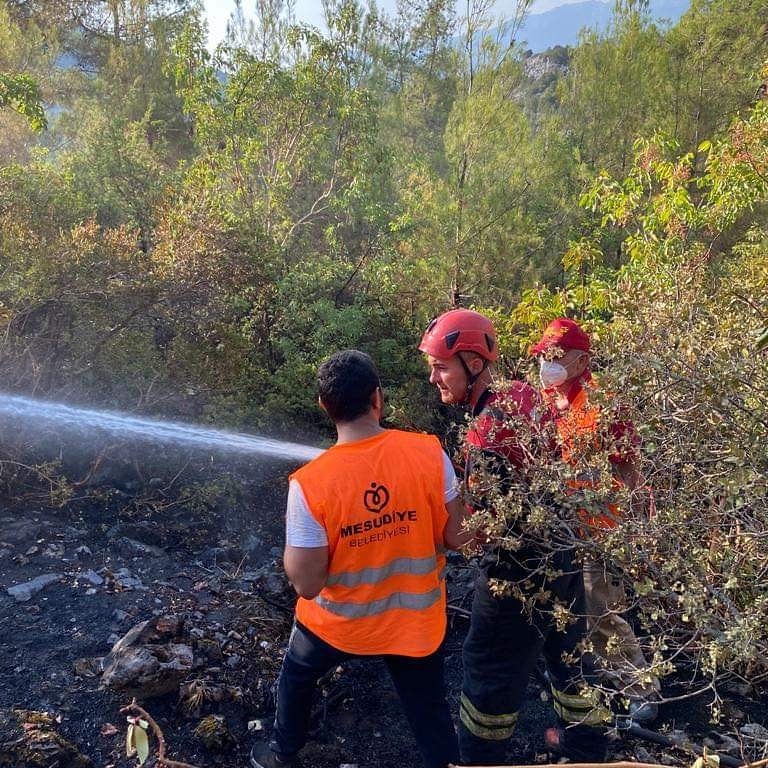Yeşil Vatanın Çocukları Antalya yangınında omuz omuza !

Yeşil Vatanı korumak için görevde olan Mesudiye Belediye Ekibimiz Ordu Büyükşehir Ekibiyle yangınlara gece gündüz müdahale ediyorlar.

#BuYangınSönecekYeşilVatanDahaFazlaYeşerecek

#MesudiyeBelediyesi
#OrduBüyükşehirBel