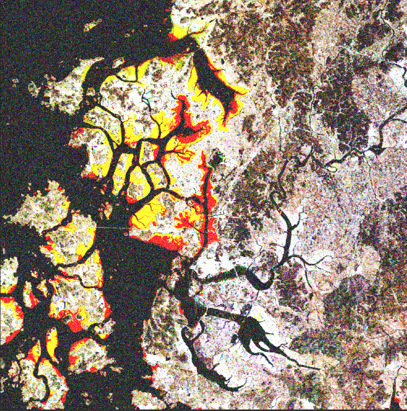 TimIles_'s tweet photo. Coherence data is beautiful! Super easy to make with @Ak_Satellite Hyp3 service. These are some tidal flats in South Korea https://t.co/k0WNJVRrGO