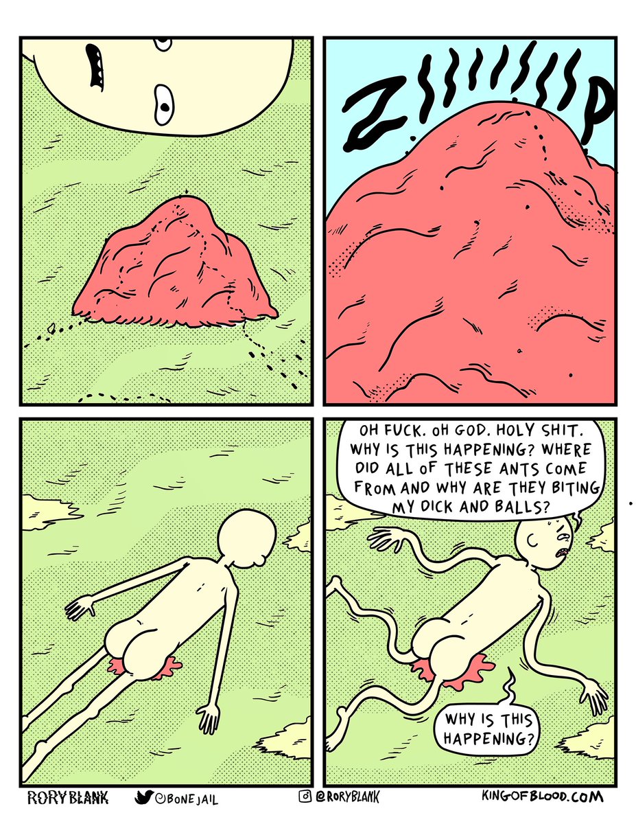 the mystery of ants 