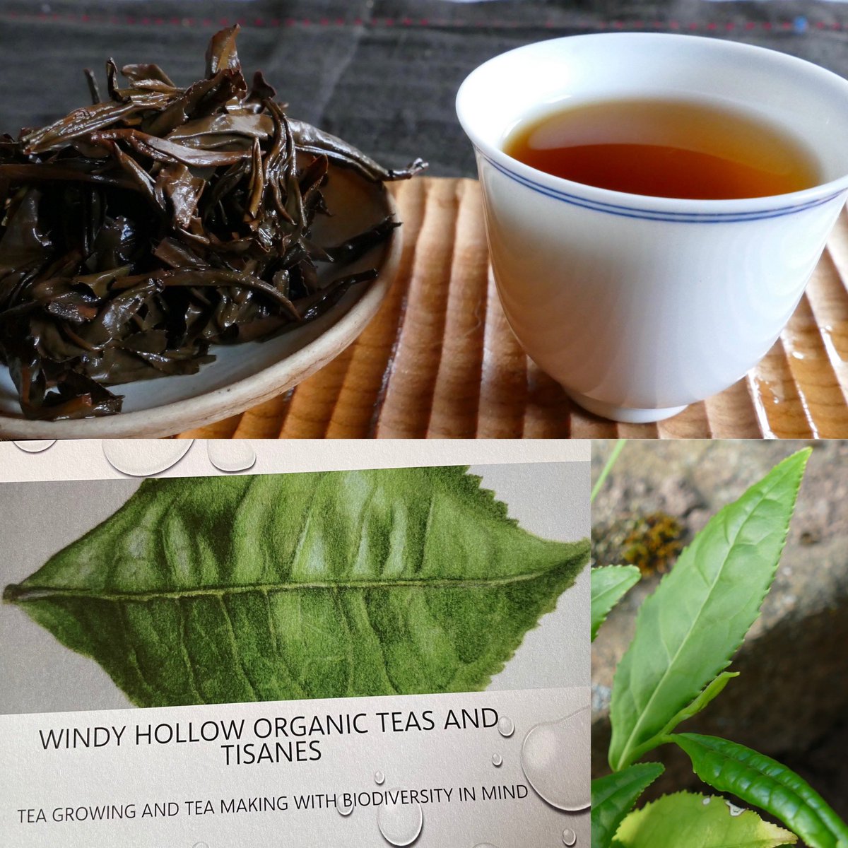 windyhollowscot's tweet photo. Windy Organic BlackGold brew 2021 ๐ a bit darker this year ๐ฟhope you are all well ๐#tea #thee #tee #biotee #organictea #camelliasinensis #terroir #provenance #Perthshire #Scotland https://t.co/AAxqsZ57a4